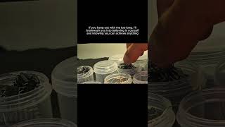 Plus You Will Learn A Thing Or Two In Electronics..