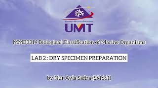 MMB3314 S51661 LAB2