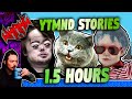 The ytmnd story compilation