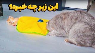 Me and my Sis 😟 منو خواهرم by Mikey cat 11,147 views 10 months ago 8 minutes, 8 seconds