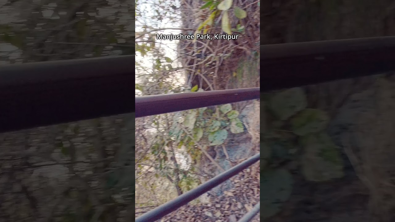 Manjushree Park, Kirtipur: A Picturesque Retreat in Nepal !