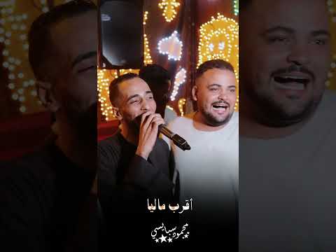 الجديد 2025 زعلنى قولهم صغرت عقولهم محمود سبايسى