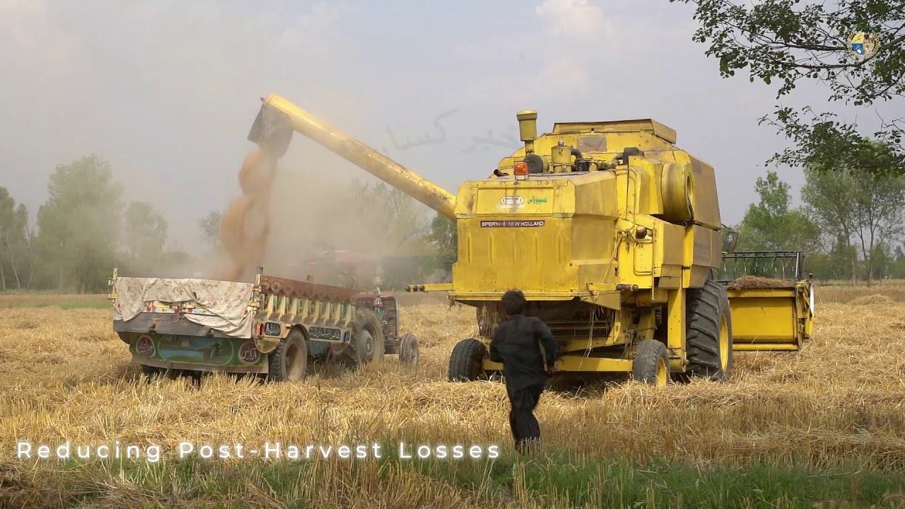 Wheat Harvesting Machine in Pakistan: Combine Harvester & Reaper|گندم کی مشینی کٹائی