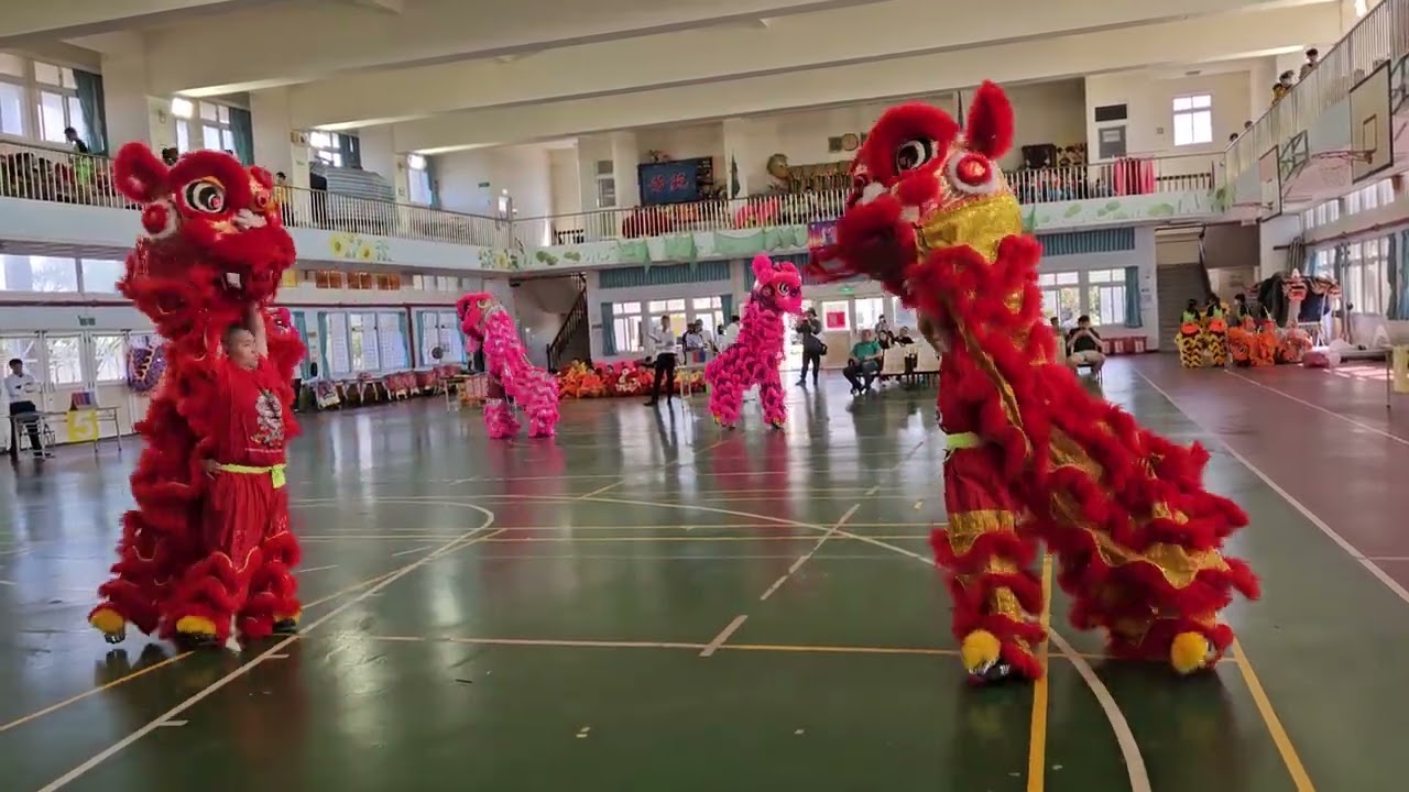 113-11-26彰化縣113學年度縣長盃舞獅比賽～饒明國小雙獅B隊