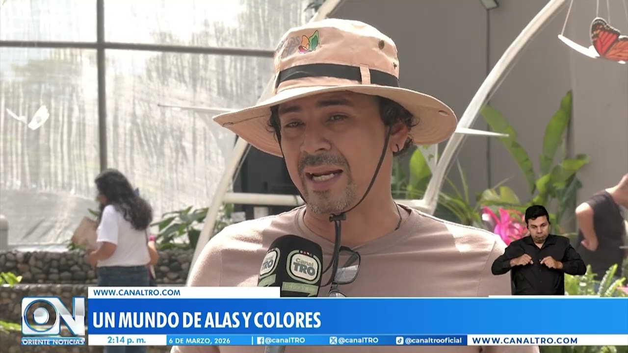 De Ruta por Bucaramanga: Descubre el mágico mundo de las mariposas