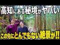 【高知ディープスポット】なんだココは…。高知の山奥にある神秘的すぎるスポットがやばすぎた!!!【高知観光】【桑の川の鳥居杉】