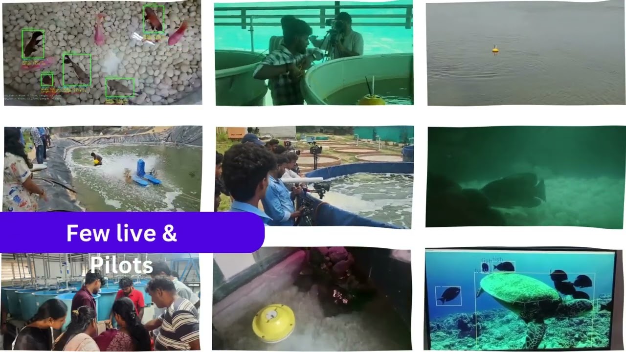 AI Use Cases by Innogle | Real World AI Solutions for Water and weather