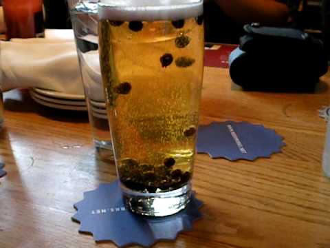 blueberry beer beerworks in boston 10 14 09 youtube boston brew works