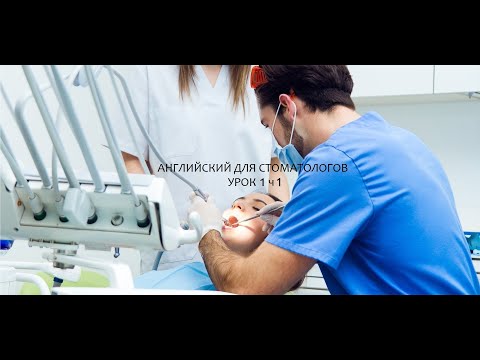 Английский язык для стоматологов урок 1 часть 1 Английский язык для стоматологов урок 1 часть 1