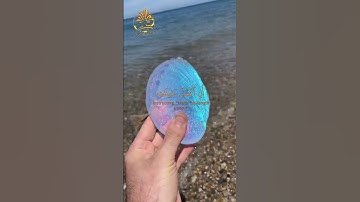 🌿 ولقد اتينا داوود منا فضلا 🌿 تلاوة هادئة عذبة 🌿 القارئ ناصر القطامي 🌿