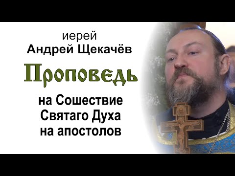Проповедь на Сошествие Святаго Духа на апостолов (2025.06.07). Иерей Андрей Щекачёв