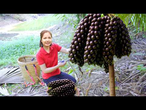 Harvesting 10000 Palm