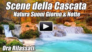 Natura Suoni di Acqua Rilassante Cascata Meditazione Relax Studio Focus Sonno Bianco Rumore Studio c