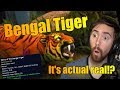 How To Get Reins Of The Bengal Tiger