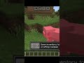 #survivalseries