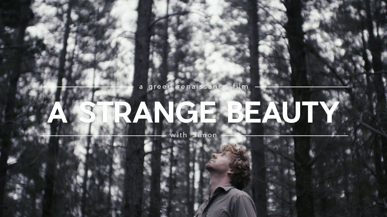 A Strange Beauty YouTube