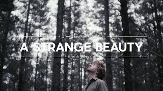 Art From Destruction Sculpting Natures Cry