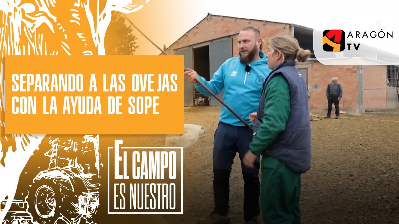 Separando al rebaño con la ayuda de Sopesens