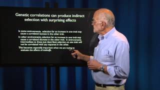 2.6 - What is a patient? Plasticity and reaction norms