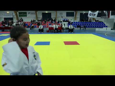 Taekwon-Do-mik unammersuarnerit 2019