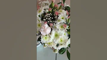 أجمل اغنية صباح الخير بصوت أسماء الطاهري صباح الورد والحب والسعادة 