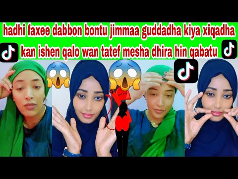 Safu Hadhi Faxee Dabbon Bontu Jimmaa Guddadha Ko Xiqodha Jettee Live Tiktok Irrati Marateti Tishi