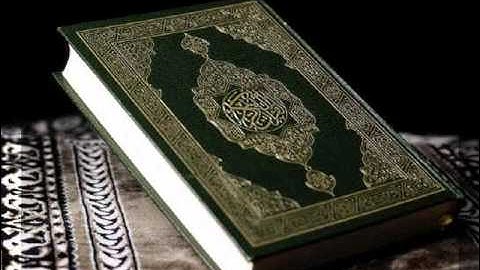 تلاوة الشيخ سعد السبيعي سورة الاحقاف .