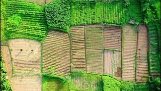 Agriculture Stock Footage - Agriculture Free Stock Videos - Agriculture No Copyright Videos