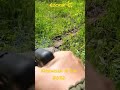 Rocket C - Shogun Fireworks (Firework A Day 2022)