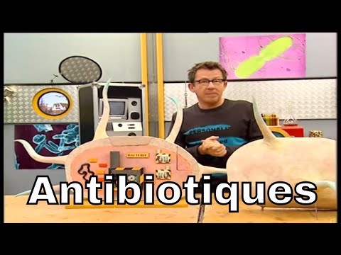 Vidéo: Que sont les bactéries chimiosynthétiques ?