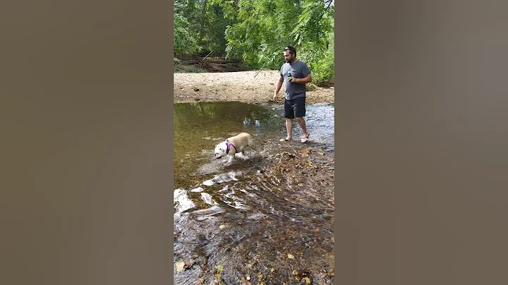 Rosie @Bynum Run