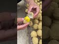#Preserved Eggs SREiM