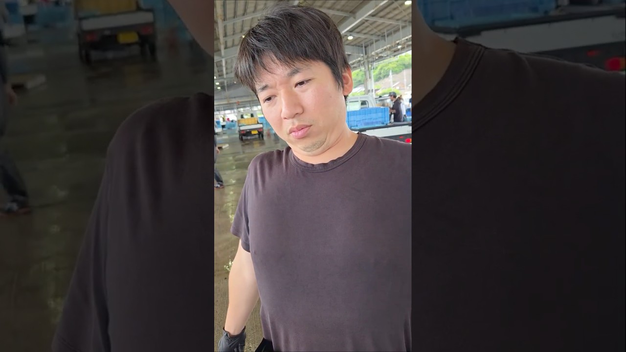 "台"風の後は"鯛"が"大"漁...!一方会長は…? 2026年6月4日の片名市場の様子 #へんな魚おじさん #片名市場