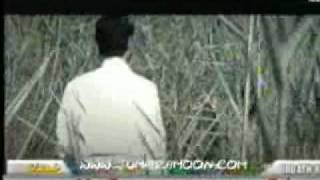 مهند محسن - اغنيه -نحبكم ---البوم ابو الزلف 2004