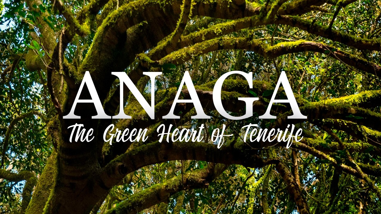 Anaga, Tenerife – The Green Heart of the Canary Islands | Best Viewpoints & Hikes