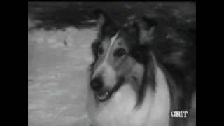 Lassie - Episode #378 - "Day of Devotion" - Season 11, Ep. 26 - 03/14/1965