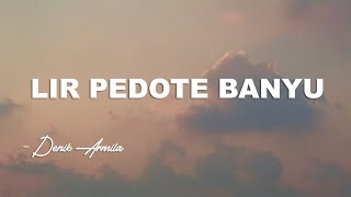 LIR PEDOTE BANYU - Denik Armila || PARGOY AMBYAR - Lirik Video