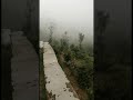 Himachal in august month solan 😍🚘