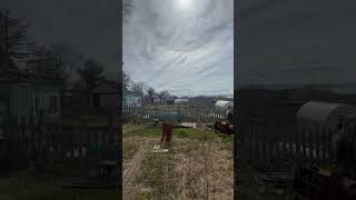 Южанка