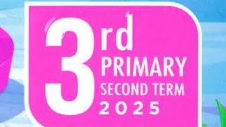 Primary 3 Assessment chapter 10 second term