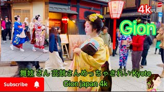 舞妓 さん 芸鼓さんめっちゃきれい 🥰#maiko #舞妓 #kyoto Kyoto Gion japan 4k
