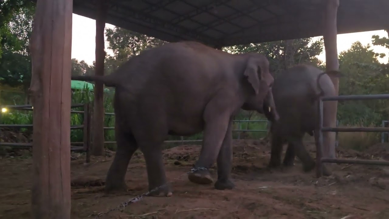 เมื่อน้องออกไม่อยู่