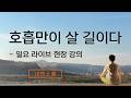 호흡의 생물학적 기원과 최적화