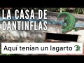 #casadecantinflas 🇲🇽🐊 #cantinflas             La casa de Cantinflas aquí tenía un lagarto