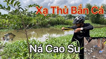 Bắn Cá Bằng Ná Cao Su_Gặp Cao Thủ Bắn Cá Rô Phi Bằng Ná Cao Su