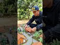 #diorama #trendingshorts #shorts #trending #miniaturevillage #diy #nature #feedshorts #viralvideo