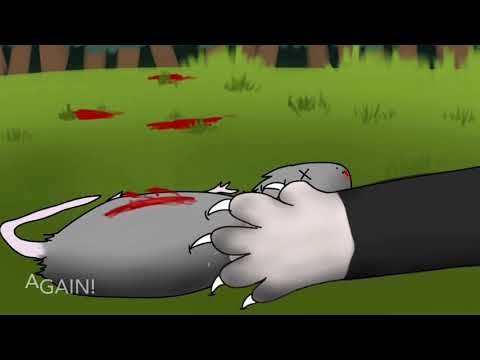 Mapleshade| Ain’t It Fun| MAP Part
