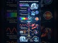 Spectral light penetrates tissues, revealing the hidden architecture of life @I-Biotic