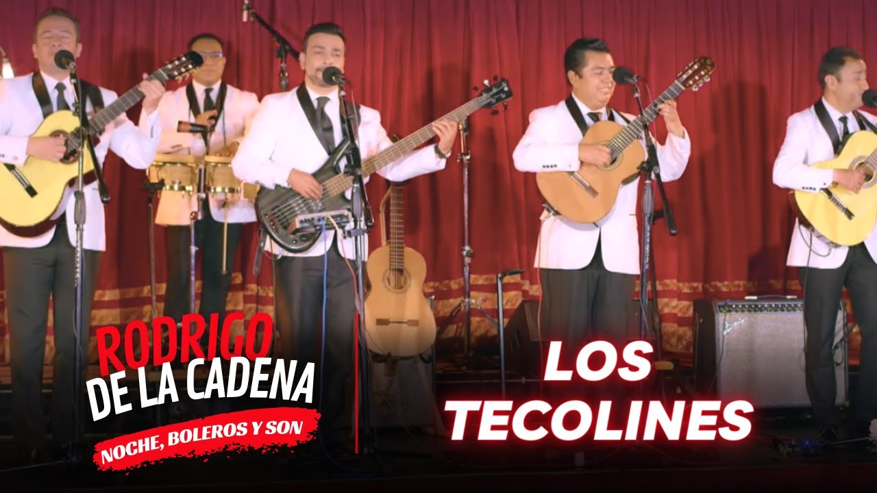 Los TECOLINES están de vuelta | Noche, Boleros y Son con Rodrigo De La Cadena