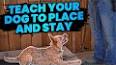 How to Train Your Dog to Stay ile ilgili video